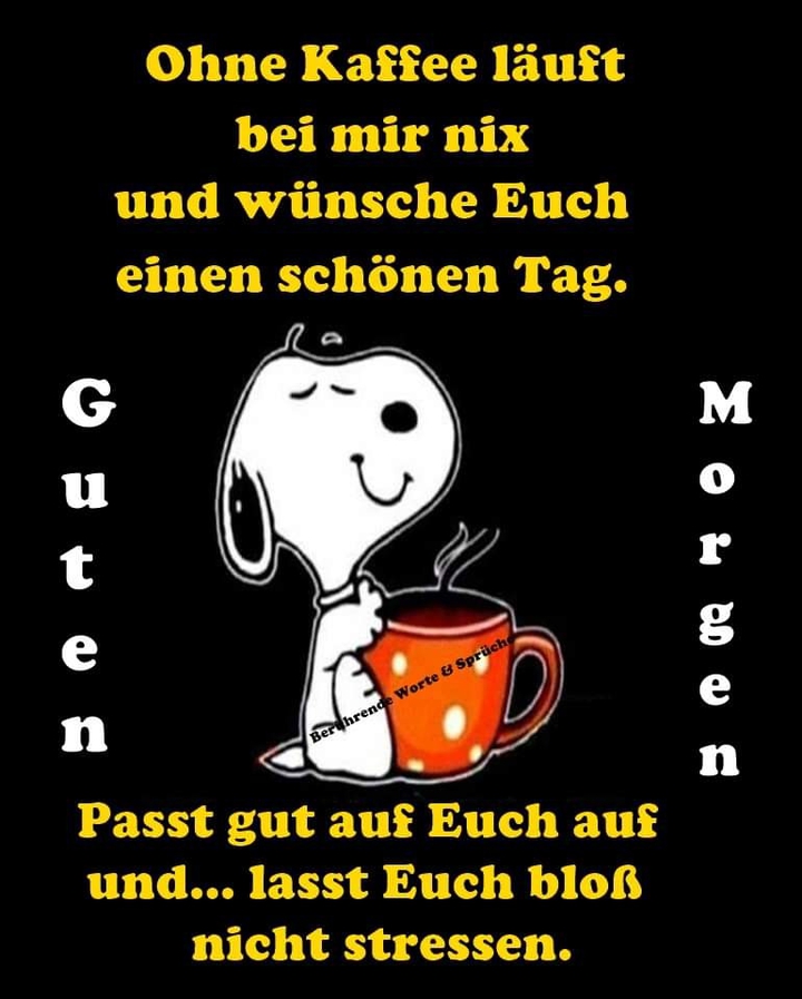 Guten morgen