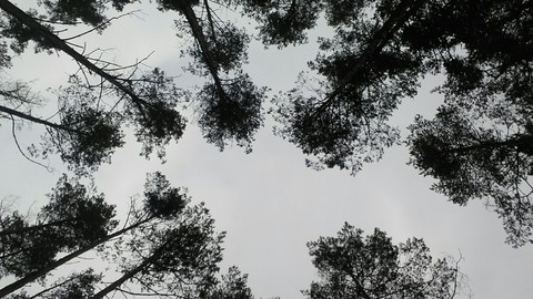 So high!