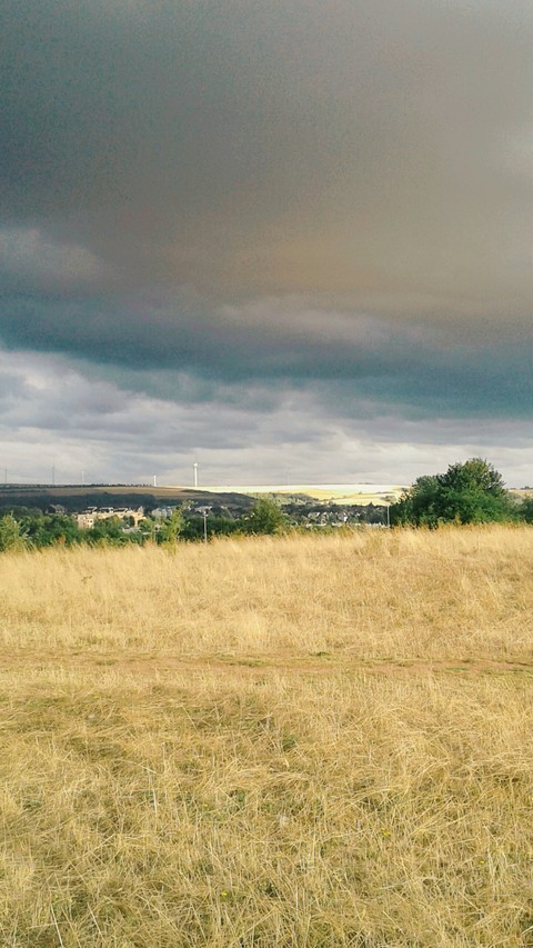 Trier