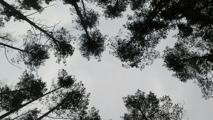 So high!