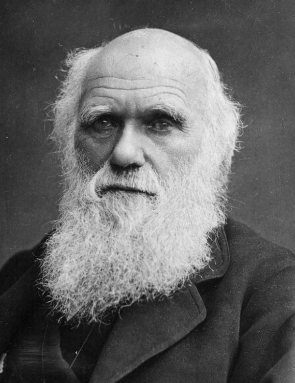 Charles Darwin