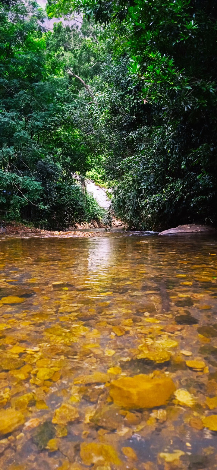 Nature