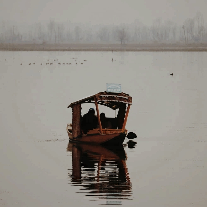 dal lake jammu & kashmir