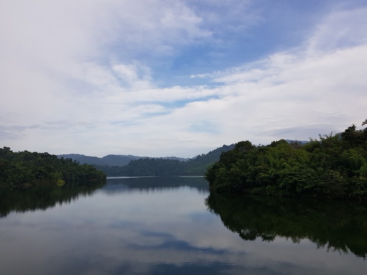 Reflection
