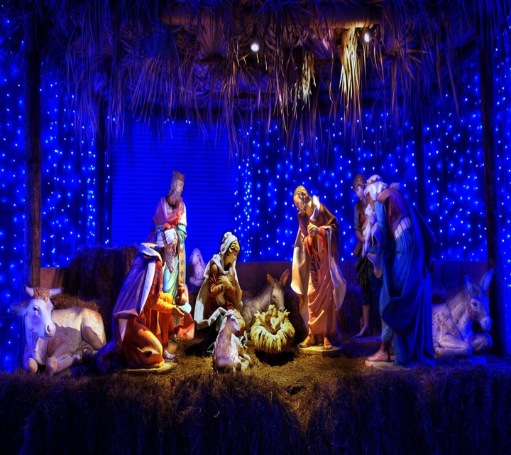 NATIVITY ~ EPIPHANY
