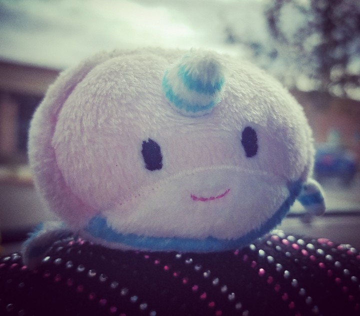 Little Narwhal