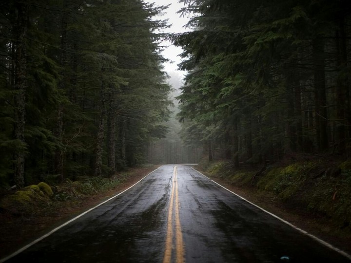 forest road