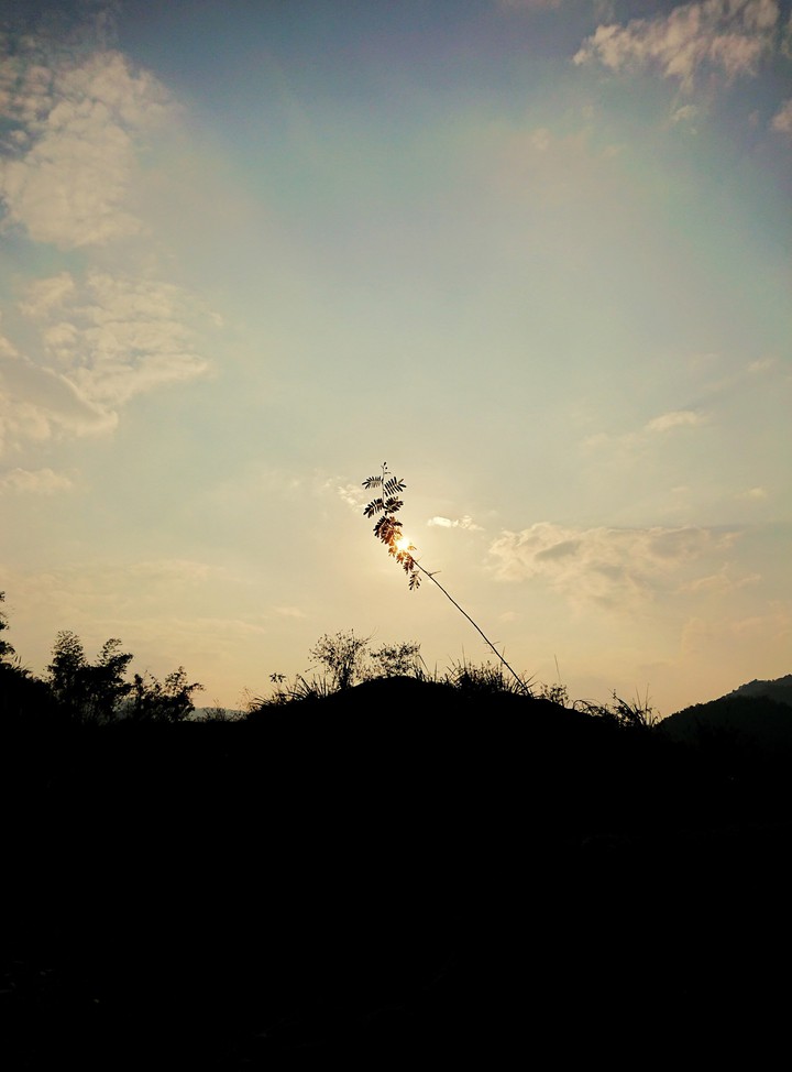 Sunset - Vietnam