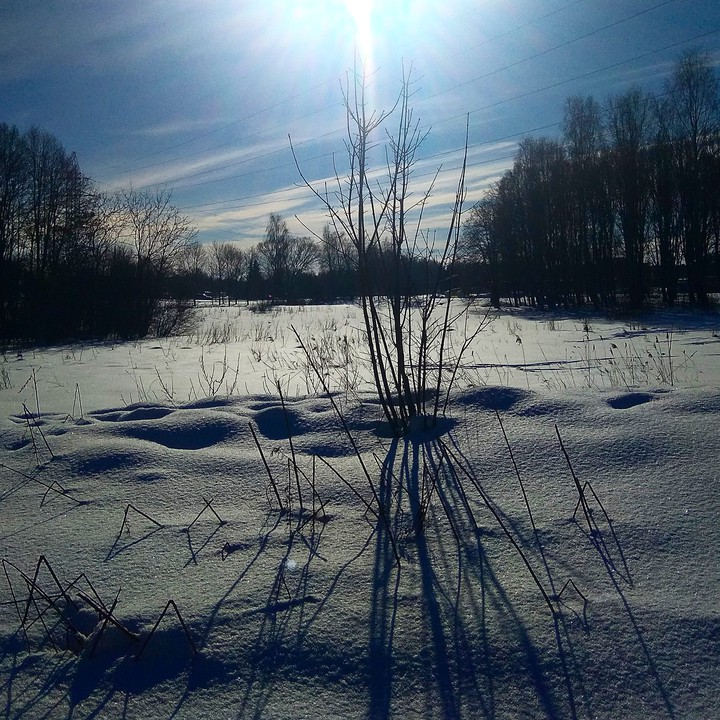 snowy