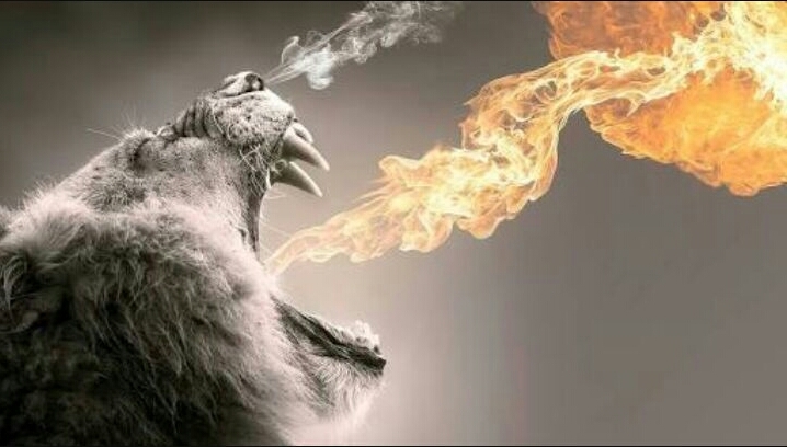 Roaring lion