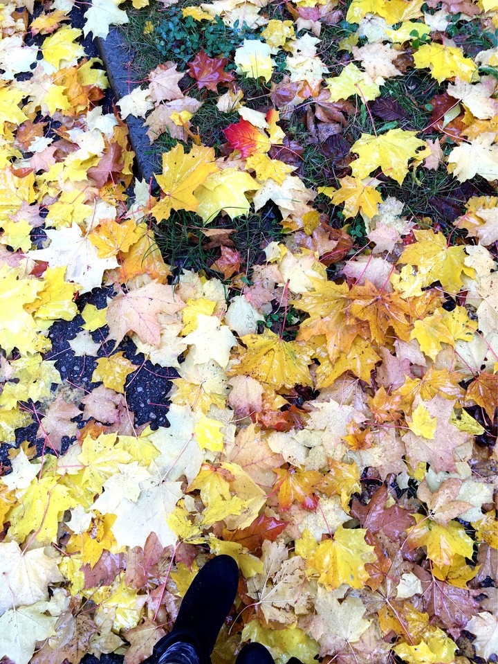 Autumn 