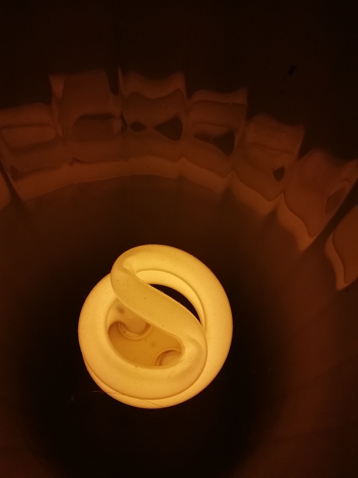 Bulb