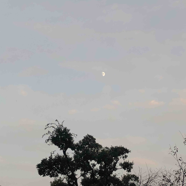 moon in the life