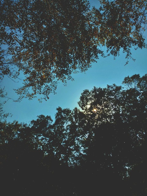 sky