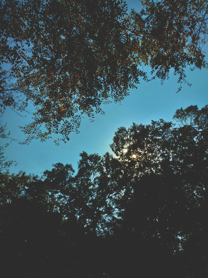 sky