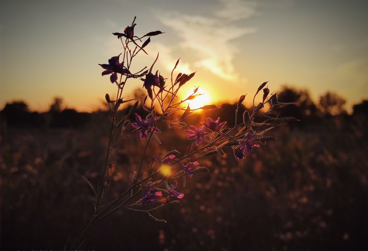 lovely sunset