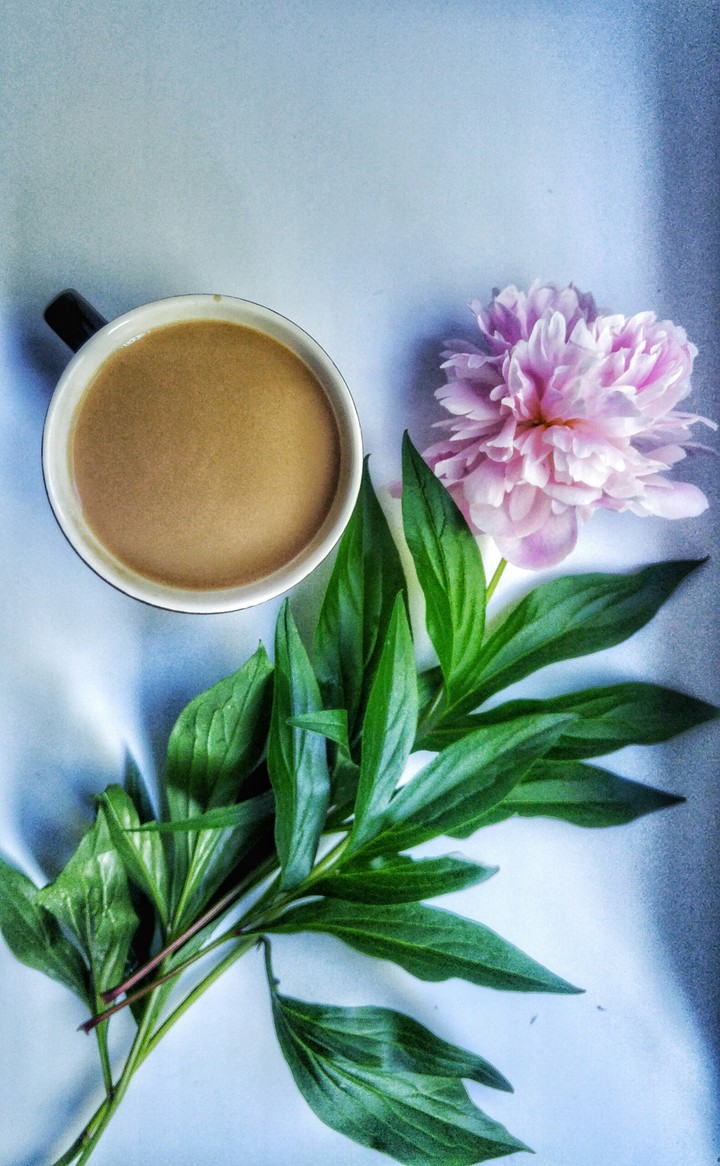 Good morning