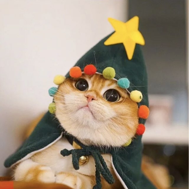 К Новому гожу готов