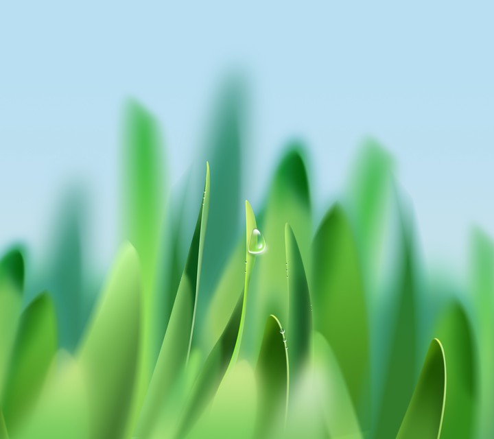 fresh grass