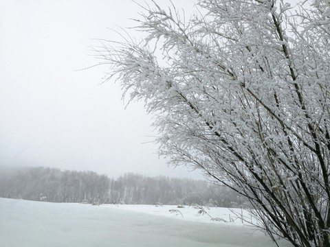 winter in Siberia