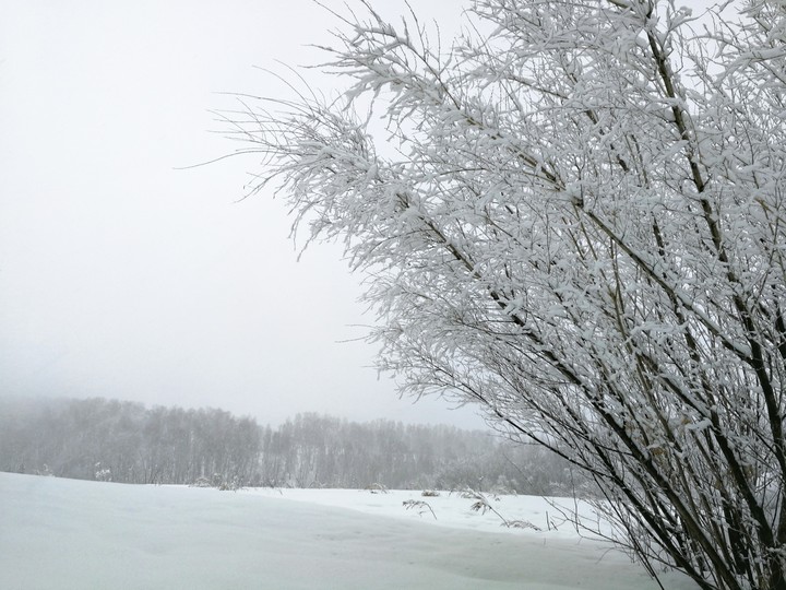winter in Siberia