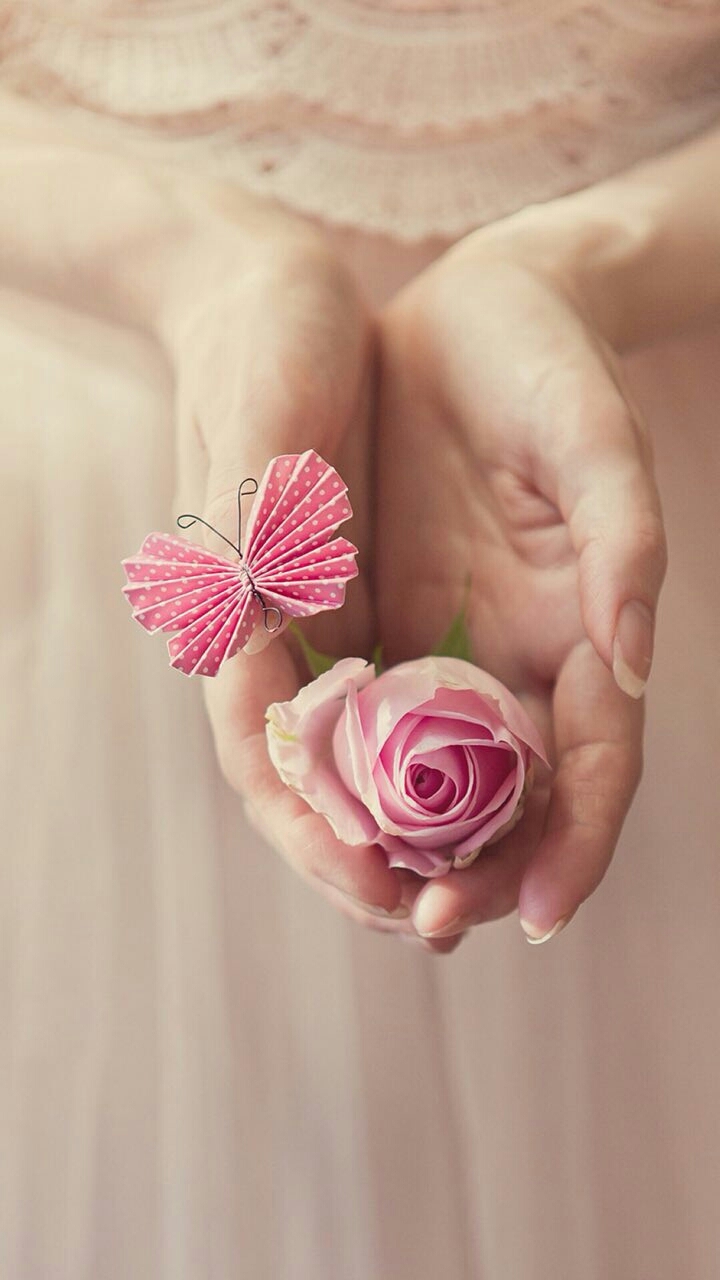 soft rose