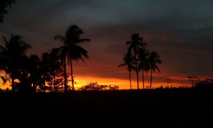sunset