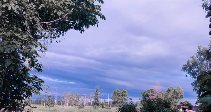 nature