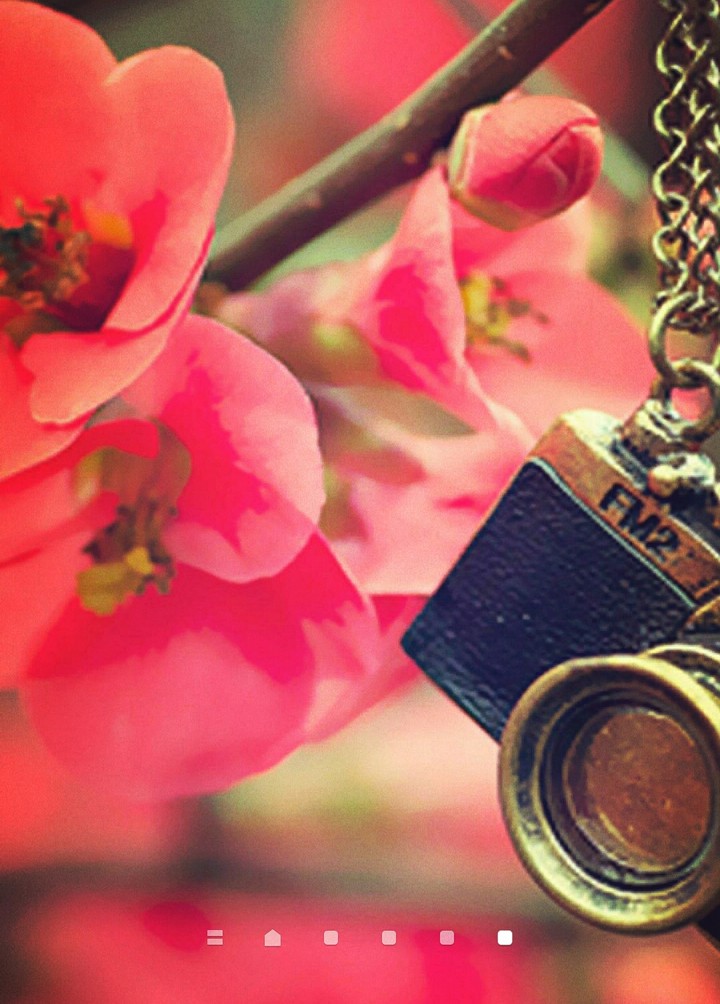 camera hanging from flower branch