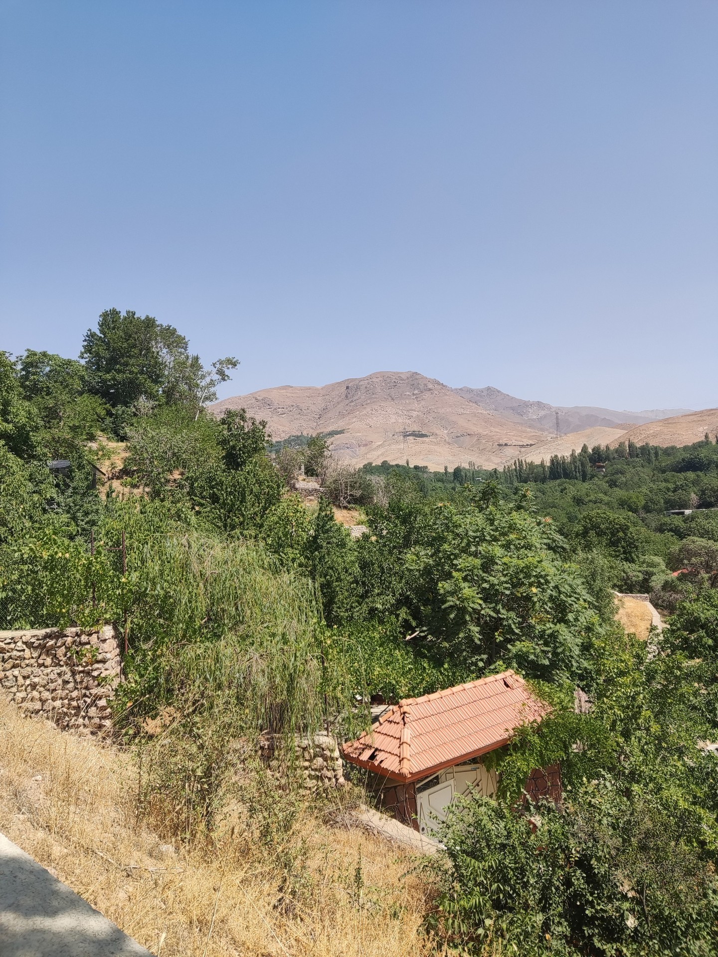 papéis de parede chaparral, shrubland
