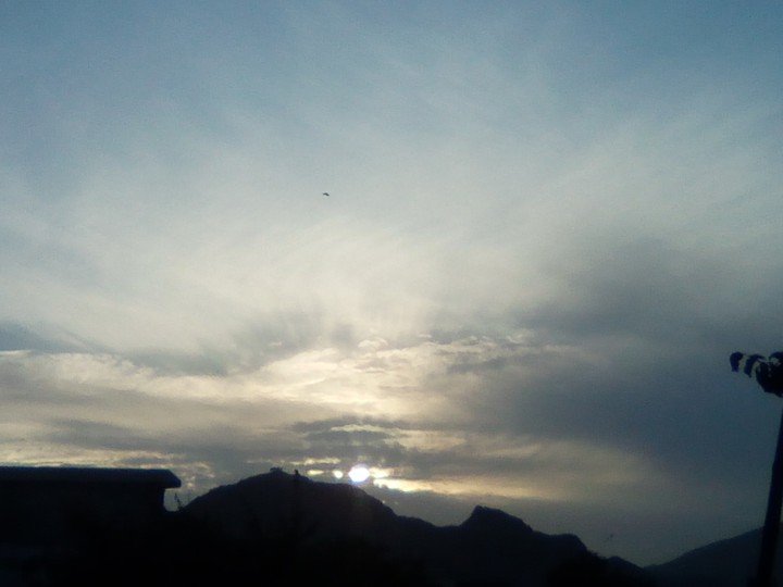 Sunshine