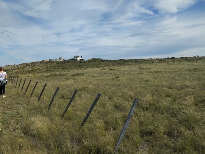 Campito