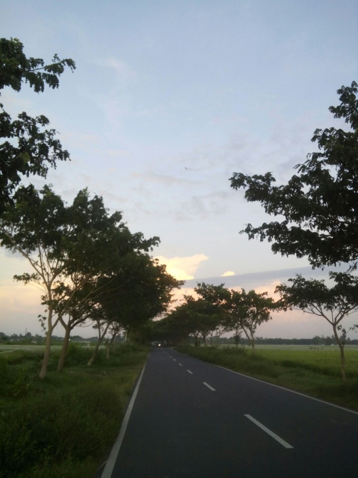 The way