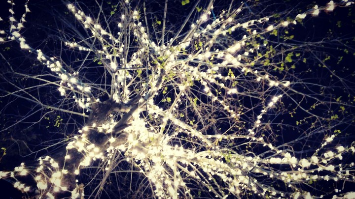 magic