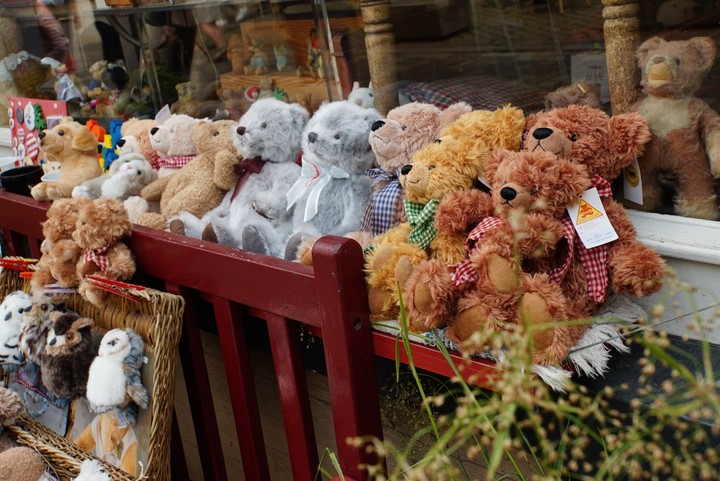 teddy