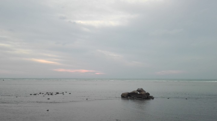 view