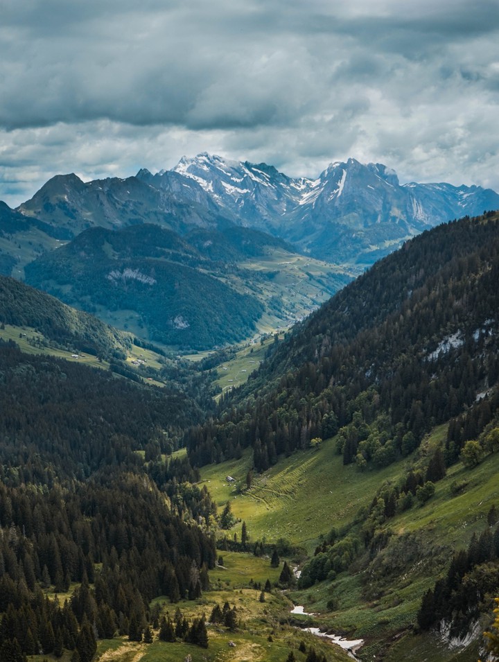 Mountain