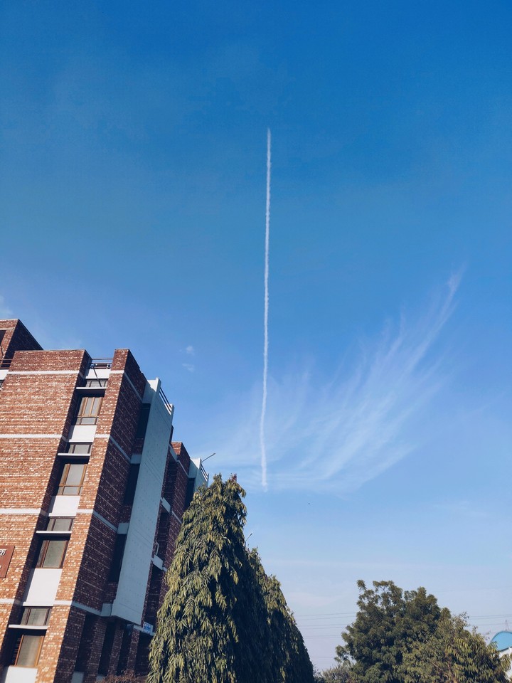 Looking up in the sky
