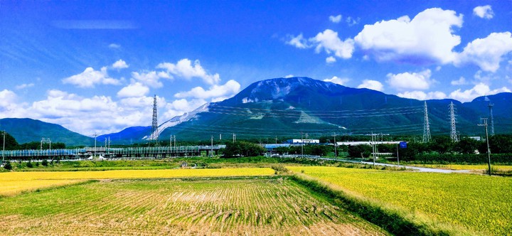 Cánh đồng