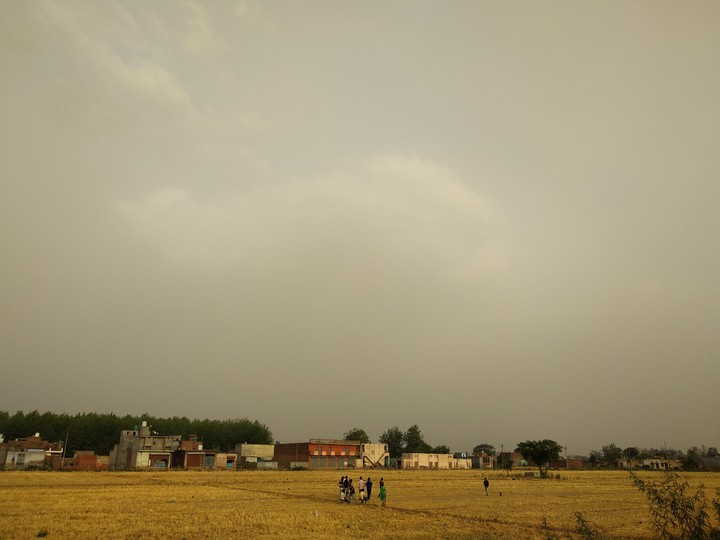 Nature