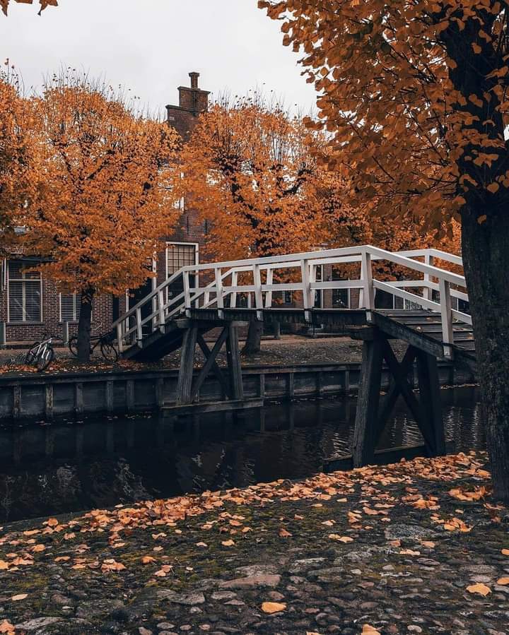 autumn