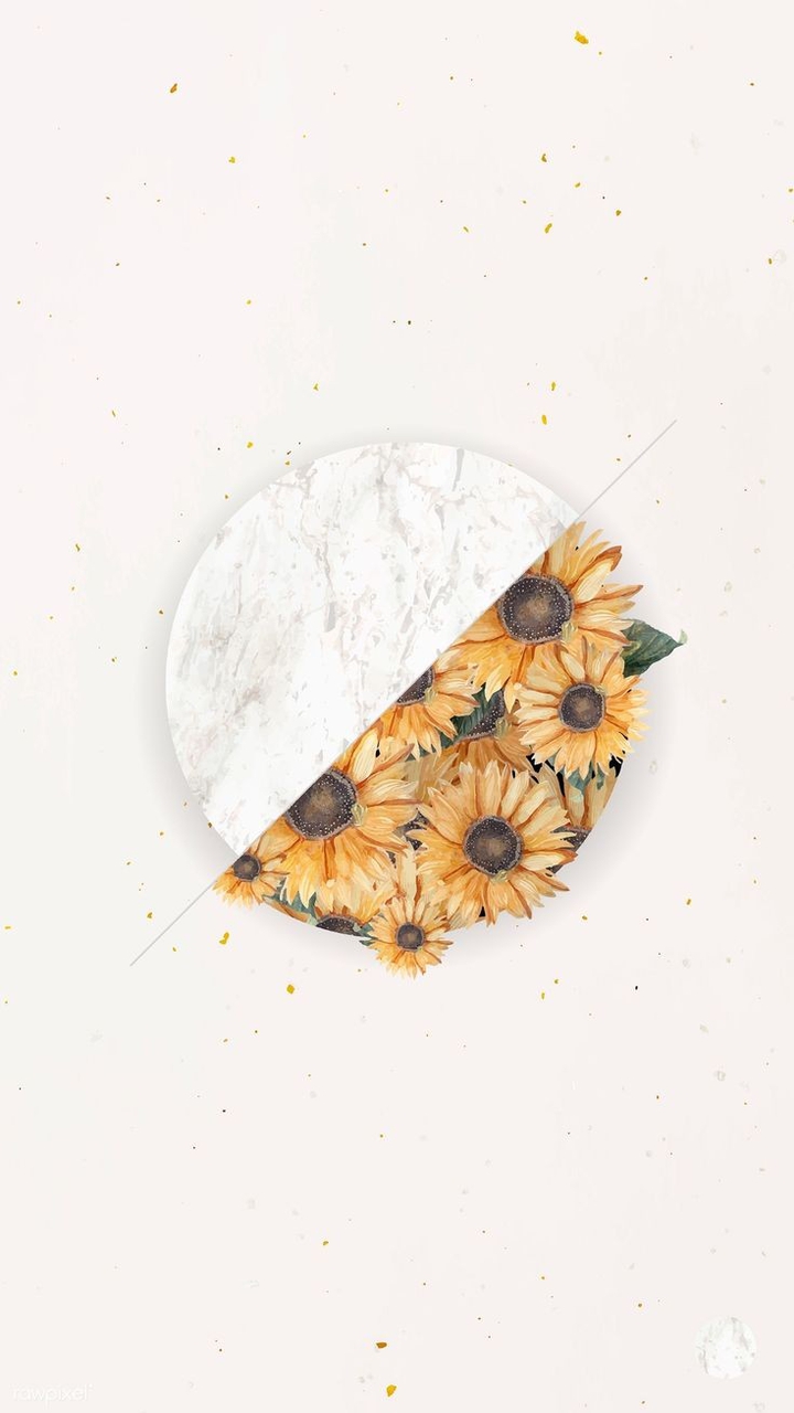 Pieces of the Sun