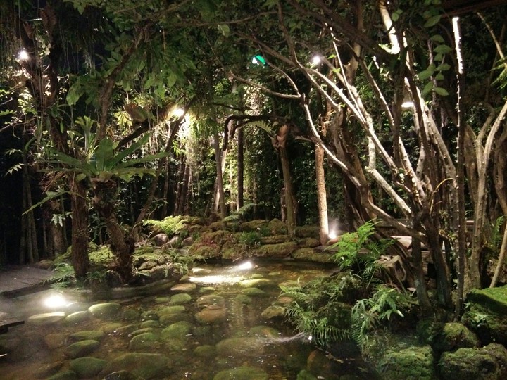 forest in the city#2
