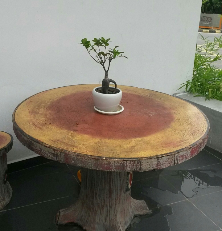 Life is like a tree