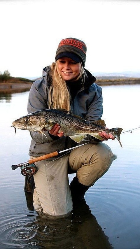 обои Fish, smile