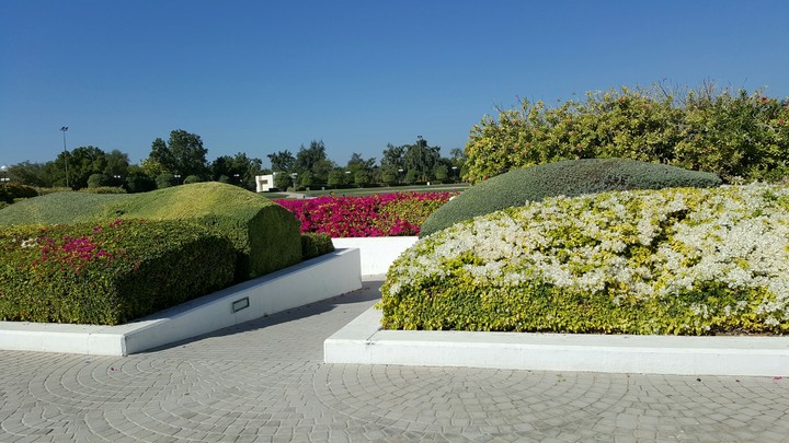 So flowers