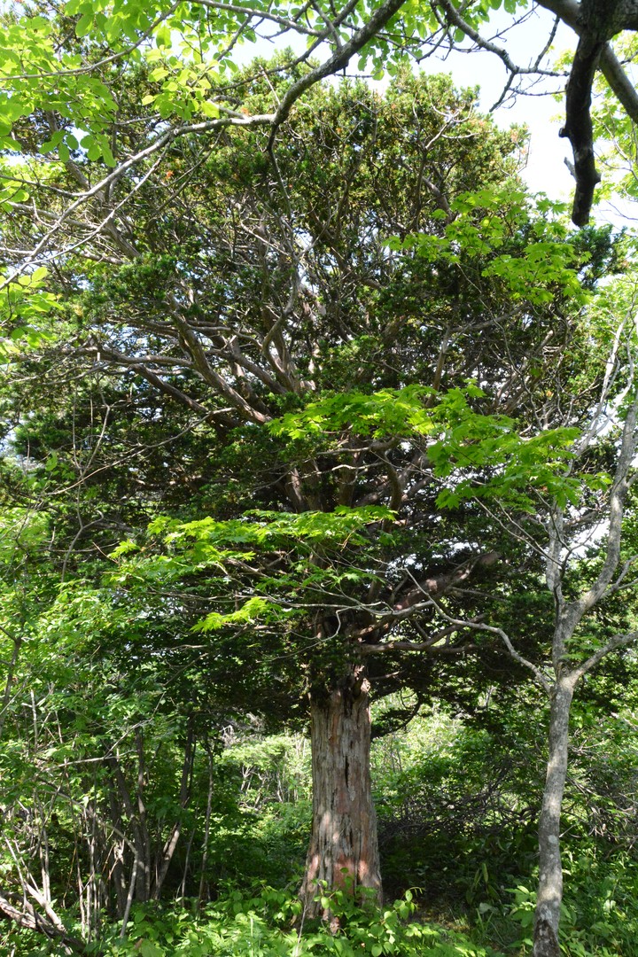 산이미지