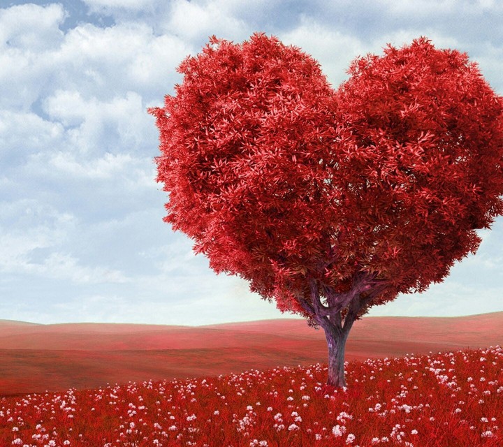 love