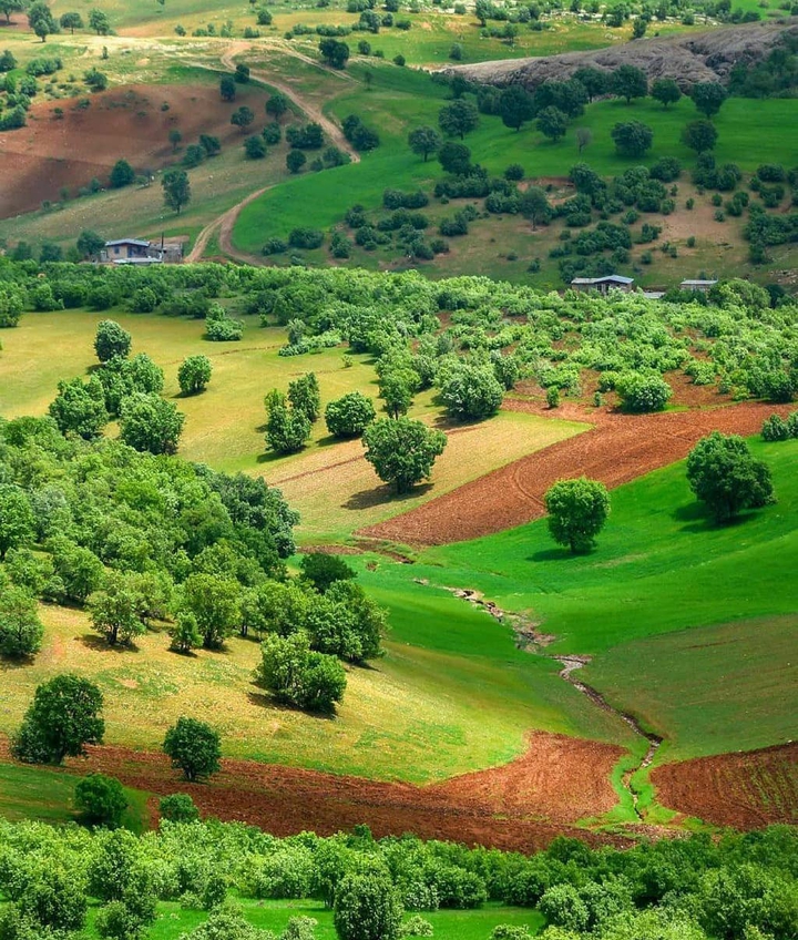 Alashtar Nature