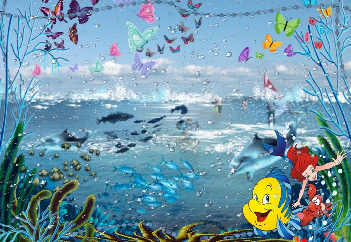 Unterwasserwelt